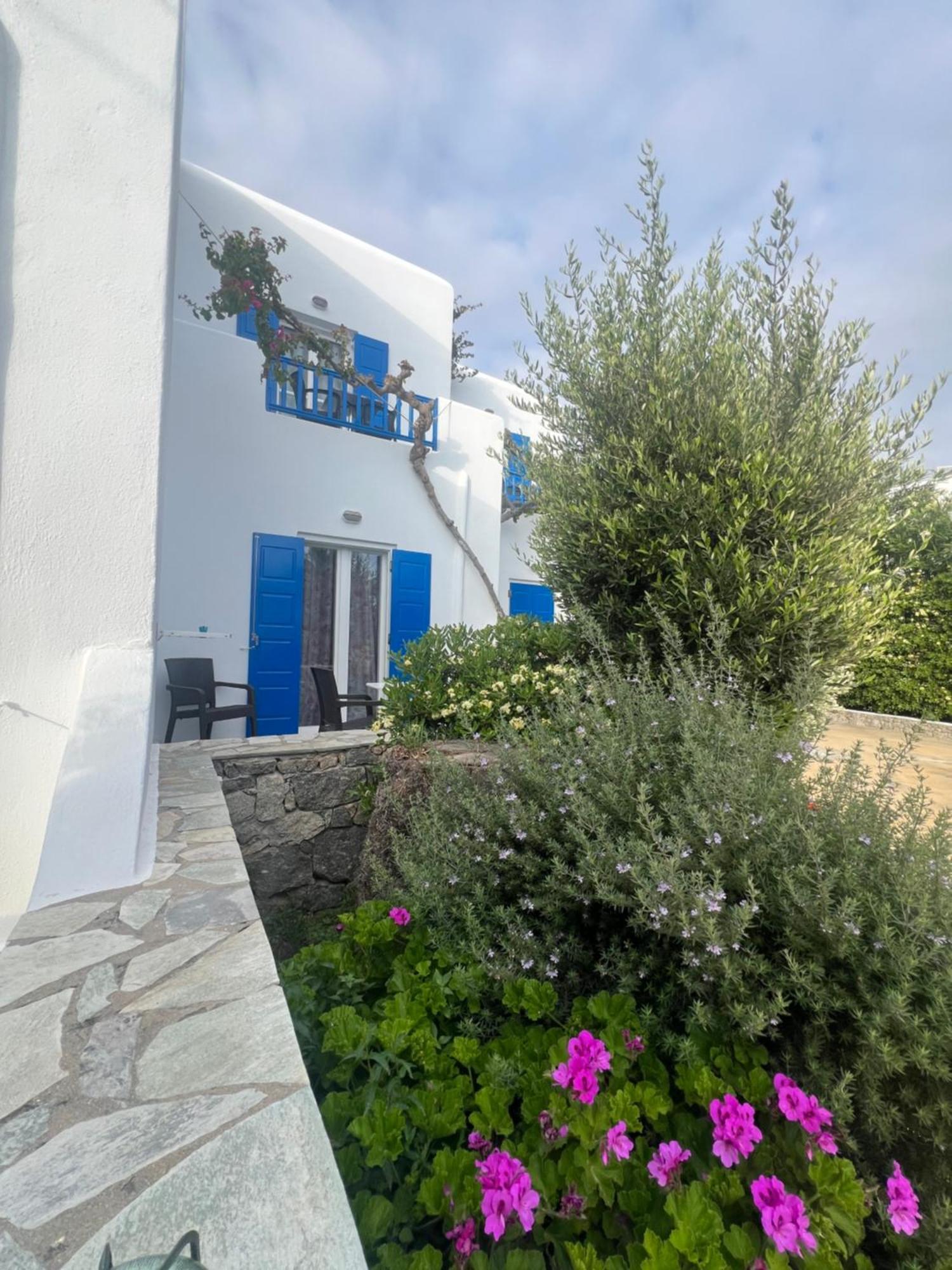 Anemos Apartments Ornos  Exteriér fotografie